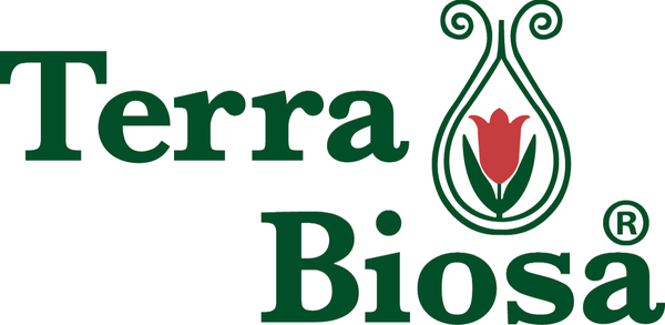 Logo anterior de Terra Biosa